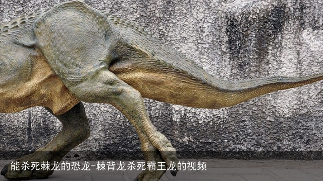 能杀死棘龙的恐龙-棘背龙杀死霸王龙的视频