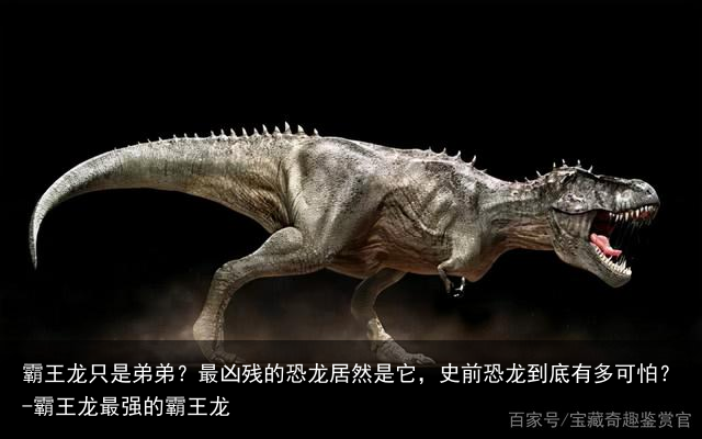 霸王龙只是弟弟？最凶残的恐龙居然是它，史前恐龙到底有多可怕？-霸王龙最强的霸王龙