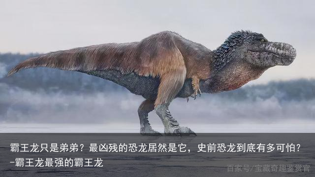 霸王龙只是弟弟？最凶残的恐龙居然是它，史前恐龙到底有多可怕？-霸王龙最强的霸王龙