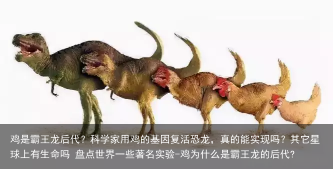 鸡是霸王龙后代？科学家用鸡的基因复活恐龙，真的能实现吗？其它星球上有生命吗 盘点世界一些著名实验-鸡为什么是霸王龙的后代?