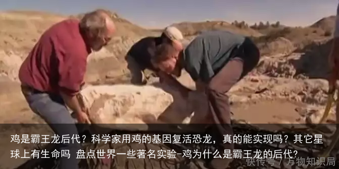 鸡是霸王龙后代？科学家用鸡的基因复活恐龙，真的能实现吗？其它星球上有生命吗 盘点世界一些著名实验-鸡为什么是霸王龙的后代?