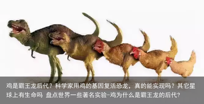 鸡是霸王龙后代？科学家用鸡的基因复活恐龙，真的能实现吗？其它星球上有生命吗 盘点世界一些著名实验-鸡为什么是霸王龙的后代?