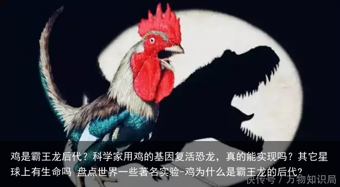 鸡是霸王龙后代？科学家用鸡的基因复活恐龙，真的能实现吗？其它星球上有生命吗 盘点世界一些著名实验-鸡为什么是霸王龙的后代?