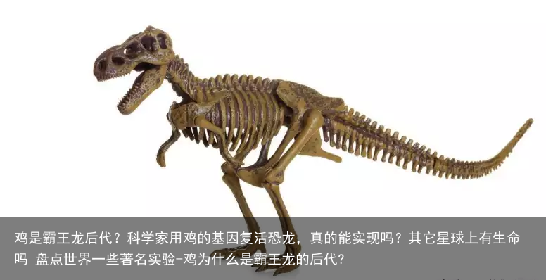 鸡是霸王龙后代？科学家用鸡的基因复活恐龙，真的能实现吗？其它星球上有生命吗 盘点世界一些著名实验-鸡为什么是霸王龙的后代?