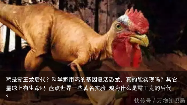 鸡是霸王龙后代？科学家用鸡的基因复活恐龙，真的能实现吗？其它星球上有生命吗 盘点世界一些著名实验-鸡为什么是霸王龙的后代?