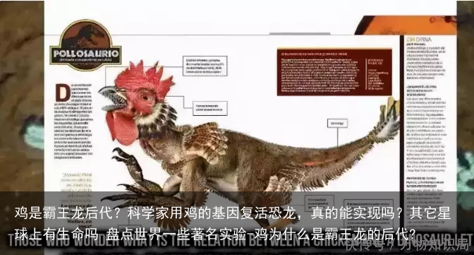 鸡是霸王龙后代？科学家用鸡的基因复活恐龙，真的能实现吗？其它星球上有生命吗 盘点世界一些著名实验-鸡为什么是霸王龙的后代?