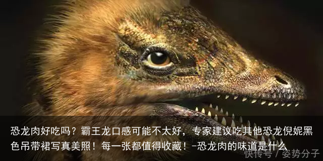 恐龙肉好吃吗？霸王龙口感可能不太好，专家建议吃其他恐龙倪妮黑色吊带裙写真美照！每一张都值得收藏！-恐龙肉的味道是什么
