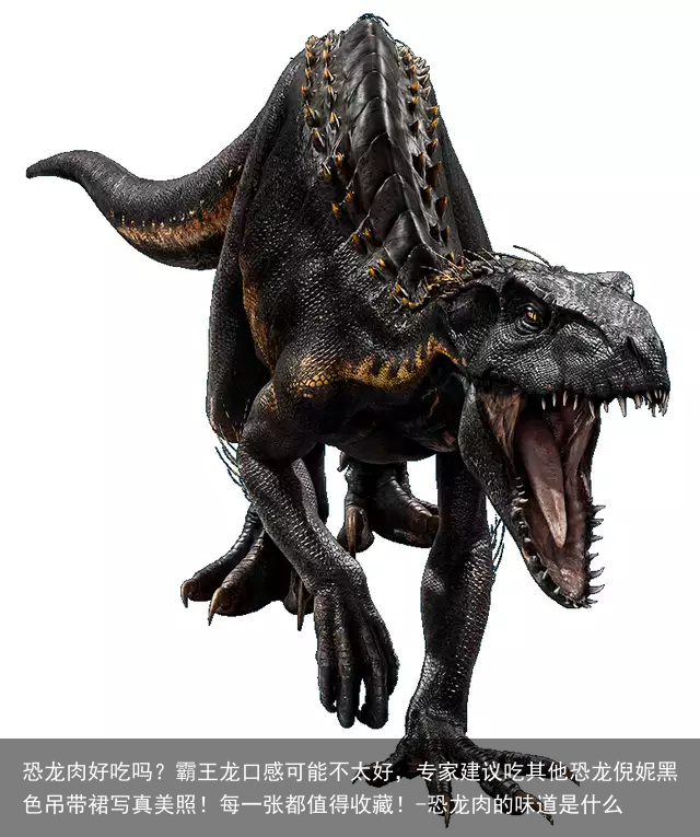 恐龙肉好吃吗？霸王龙口感可能不太好，专家建议吃其他恐龙倪妮黑色吊带裙写真美照！每一张都值得收藏！-恐龙肉的味道是什么