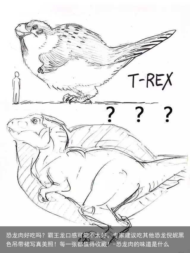 恐龙肉好吃吗？霸王龙口感可能不太好，专家建议吃其他恐龙倪妮黑色吊带裙写真美照！每一张都值得收藏！-恐龙肉的味道是什么
