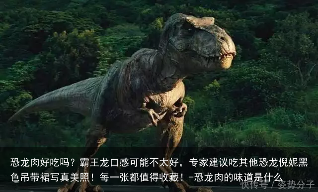 恐龙肉好吃吗？霸王龙口感可能不太好，专家建议吃其他恐龙倪妮黑色吊带裙写真美照！每一张都值得收藏！-恐龙肉的味道是什么