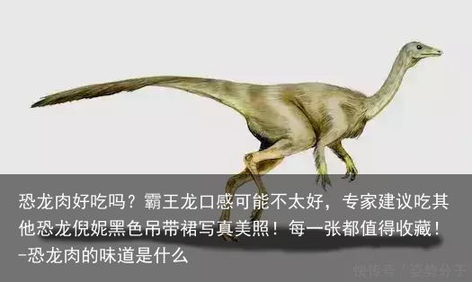 恐龙肉好吃吗？霸王龙口感可能不太好，专家建议吃其他恐龙倪妮黑色吊带裙写真美照！每一张都值得收藏！-恐龙肉的味道是什么
