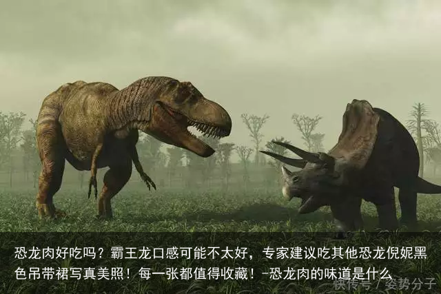 恐龙肉好吃吗？霸王龙口感可能不太好，专家建议吃其他恐龙倪妮黑色吊带裙写真美照！每一张都值得收藏！-恐龙肉的味道是什么