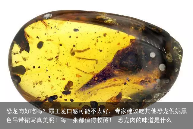 恐龙肉好吃吗？霸王龙口感可能不太好，专家建议吃其他恐龙倪妮黑色吊带裙写真美照！每一张都值得收藏！-恐龙肉的味道是什么