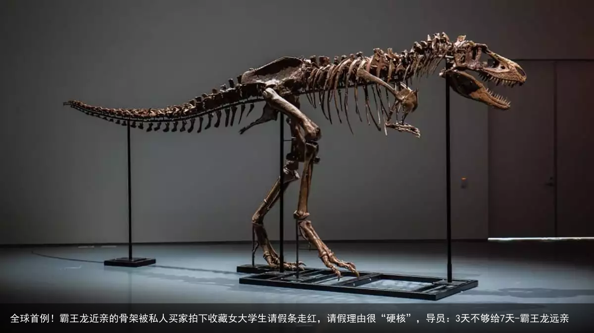 全球首例！霸王龙近亲的骨架被私人买家拍下收藏女大学生请假条走红，请假理由很“硬核”，导员：3天不够给7天-霸王龙远亲