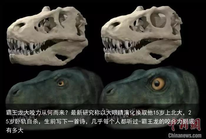 霸王龙大咬力从何而来？最新研究称以大眼睛演化换取