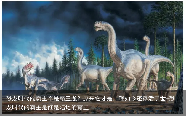 恐龙时代的霸主不是霸王龙？原来它才是，现如今还存活于世-恐龙时代的霸主是谁是陆地的霸王