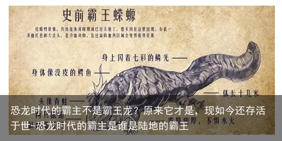 恐龙时代的霸主不是霸王龙？原来它才是，现如今还存活于世-恐龙时代的霸主是谁是陆地的霸王