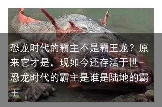 恐龙时代的霸主不是霸王龙？原来它才是，现如今还存活于世-恐龙时代的霸主是谁是陆地的霸王