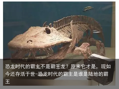 恐龙时代的霸主不是霸王龙？原来它才是，现如今还存活于世-恐龙时代的霸主是谁是陆地的霸王