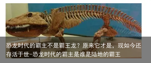 恐龙时代的霸主不是霸王龙？原来它才是，现如今还存活于世-恐龙时代的霸主是谁是陆地的霸王