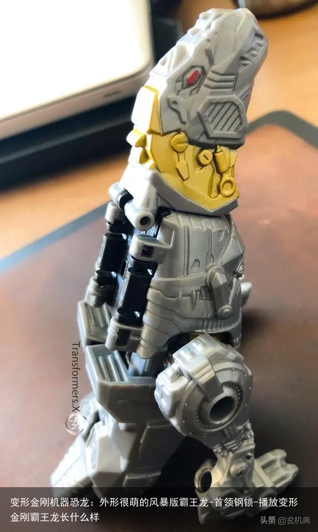 变形金刚机器恐龙：外形很萌的风暴版霸王龙-首领钢锁-播放变形金刚霸王龙长什么样