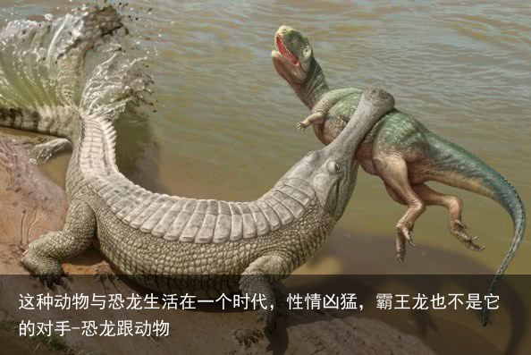这种动物与恐龙生活在一个时代，性情凶猛，霸王龙也不是它的对手-恐龙跟动物