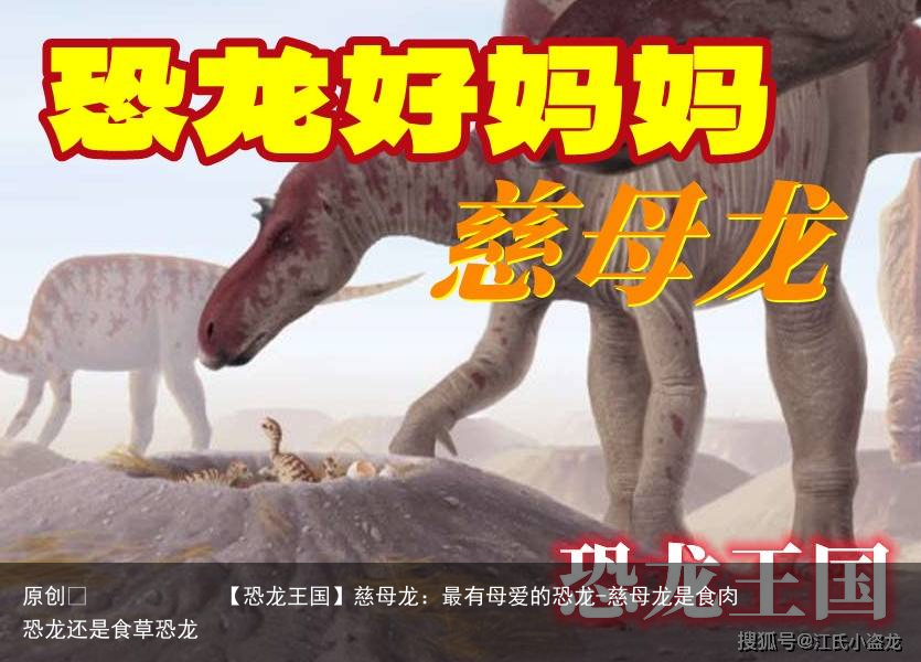 慈母龙：最有母爱的恐龙-慈母龙是食肉恐龙还是食草恐龙