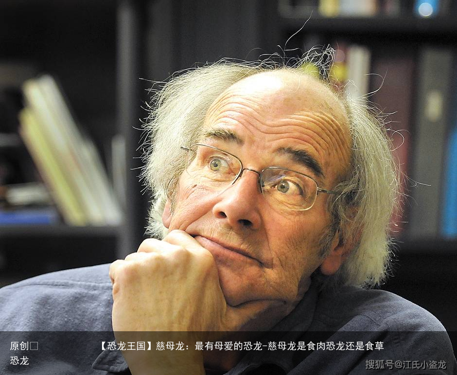 慈母龙：最有母爱的恐龙-慈母龙是食肉恐龙还是食草恐龙