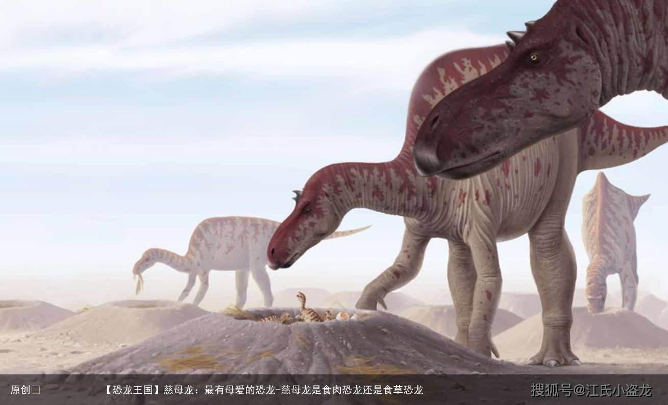 慈母龙：最有母爱的恐龙-慈母龙是食肉恐龙还是食草恐龙