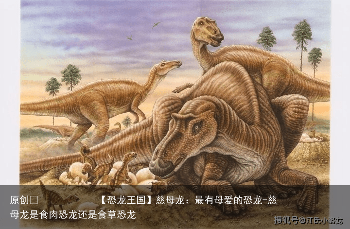 慈母龙：最有母爱的恐龙-慈母龙是食肉恐龙还是食草恐龙