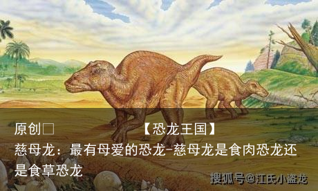 慈母龙：最有母爱的恐龙-慈母龙是食肉恐龙还是食草恐龙
