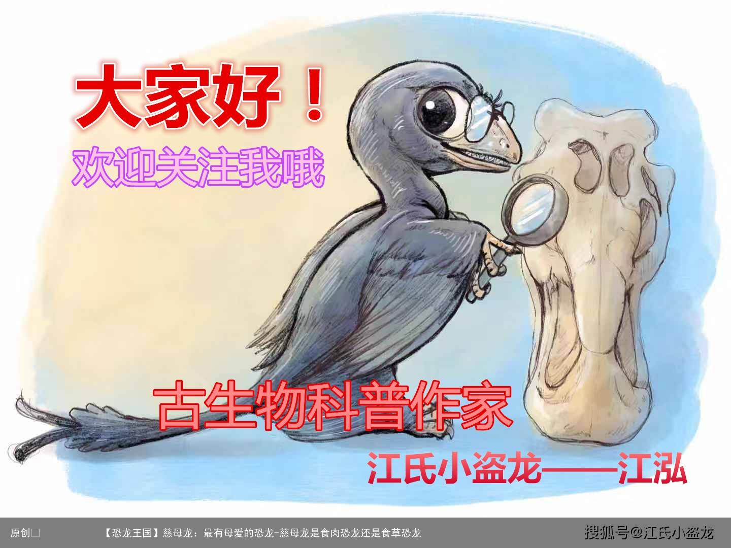 慈母龙：最有母爱的恐龙-慈母龙是食肉恐龙还是食草恐龙