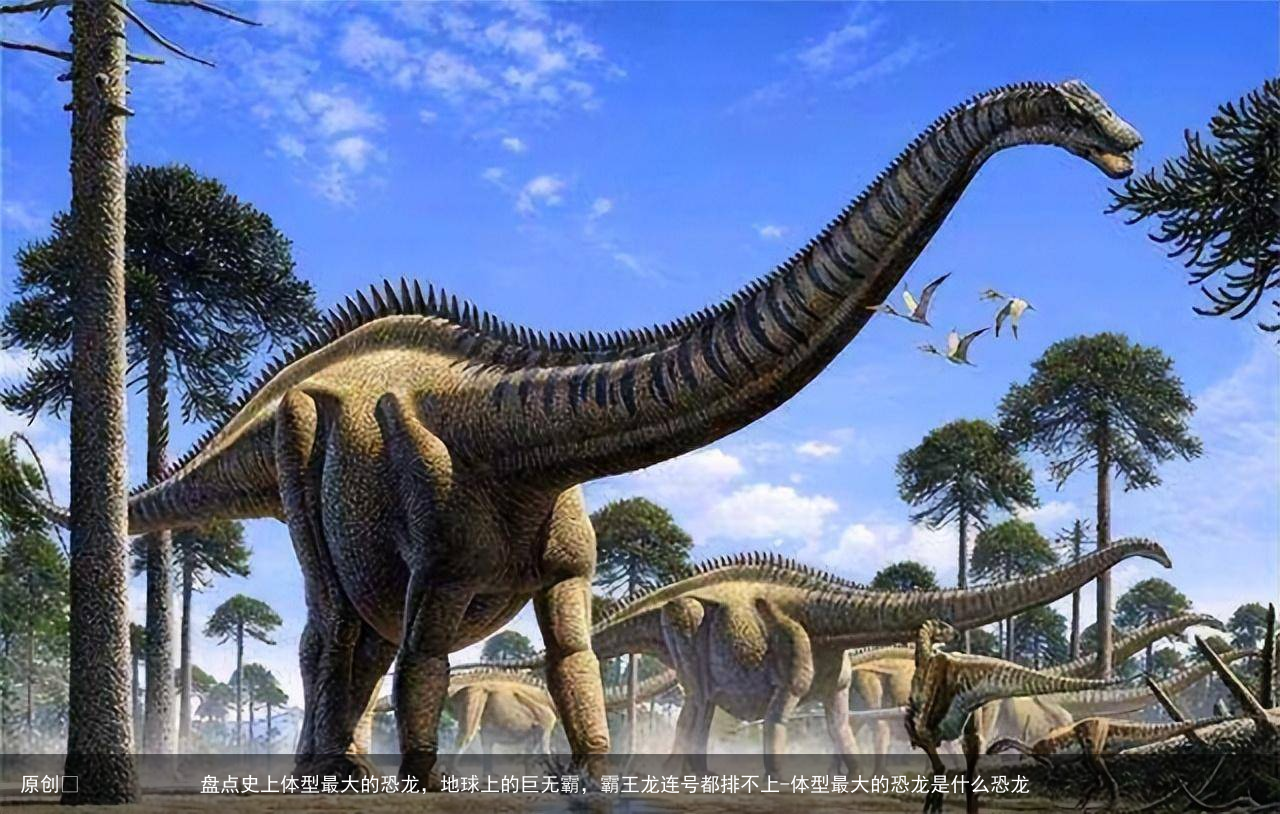 盘点史上体型最大的恐龙，地球上的巨无霸，霸王龙连号都排不上-体型最大的恐龙是什么恐龙