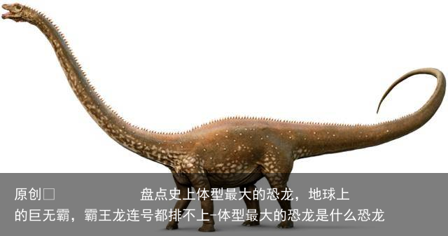 盘点史上体型最大的恐龙，地球上的巨无霸，霸王龙连号都排不上-体型最大的恐龙是什么恐龙