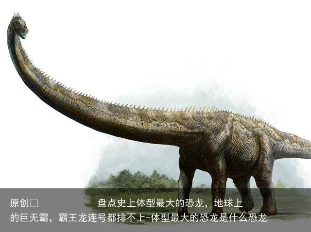 盘点史上体型最大的恐龙，地球上的巨无霸，霸王龙连号都排不上-体型最大的恐龙是什么恐龙