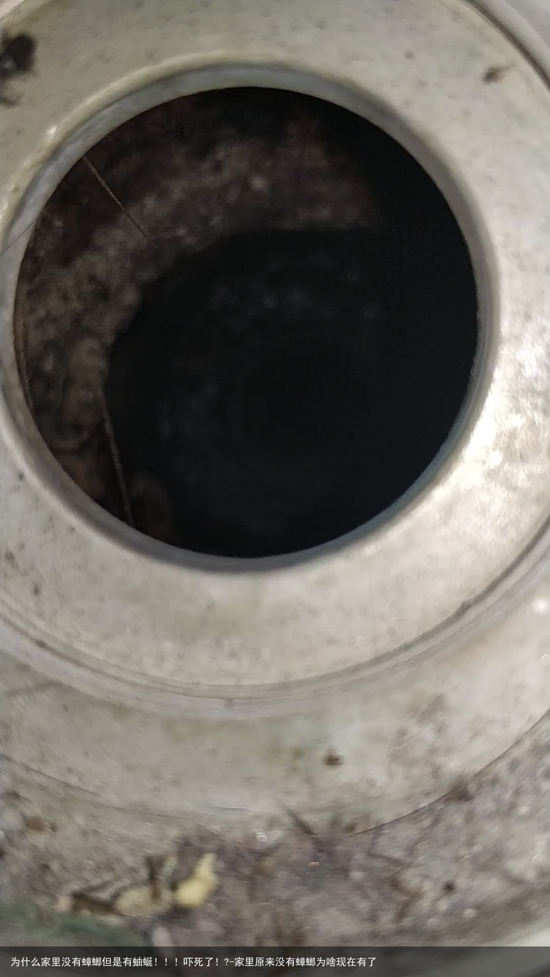为什么家里没有蟑螂但是有蚰蜒！！！吓死了！?-家里原来没有蟑螂为啥现在有了