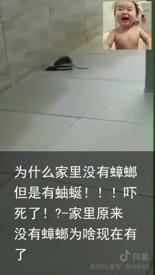 为什么家里没有蟑螂但是有蚰蜒！！！吓死了！?-家里原来没有蟑螂为啥现在有了