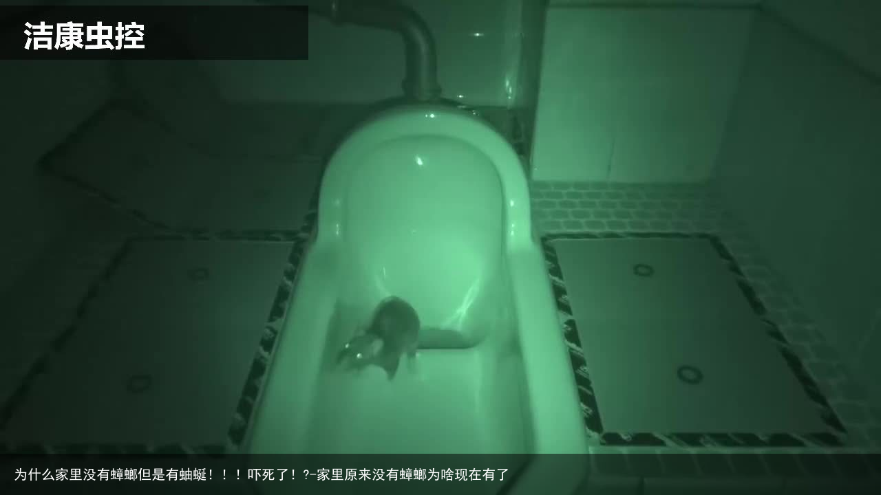 为什么家里没有蟑螂但是有蚰蜒！！！吓死了！?-家里原来没有蟑螂为啥现在有了