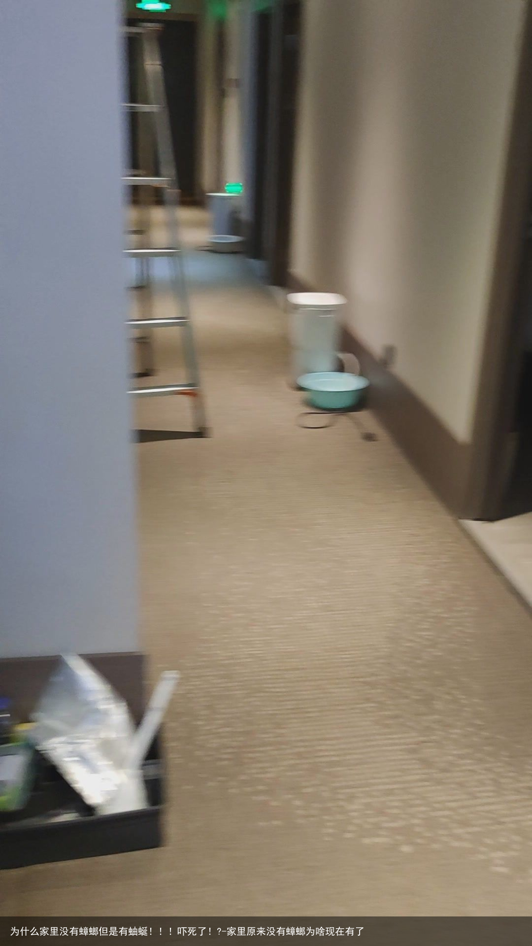 为什么家里没有蟑螂但是有蚰蜒！！！吓死了！?-家里原来没有蟑螂为啥现在有了