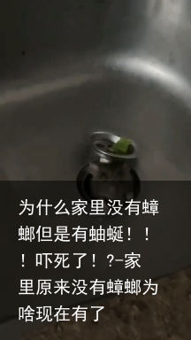 为什么家里没有蟑螂但是有蚰蜒！！！吓死了！?-家里原来没有蟑螂为啥现在有了