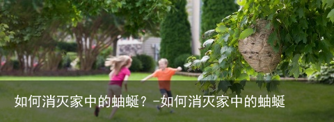 如何消灭家中的蚰蜒？-如何消灭家中的蚰蜒