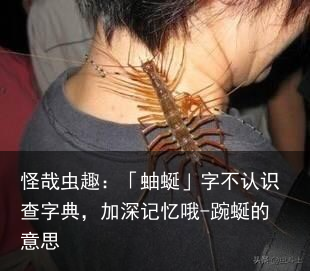 怪哉虫趣：「蚰蜒」字不认识查字典，加深记忆哦-踠蜒的意思