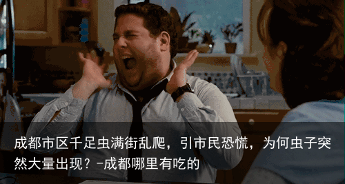 成都市区千足虫满街乱爬，引市民恐慌，为何虫子突然大量出现？-成都哪里有吃的