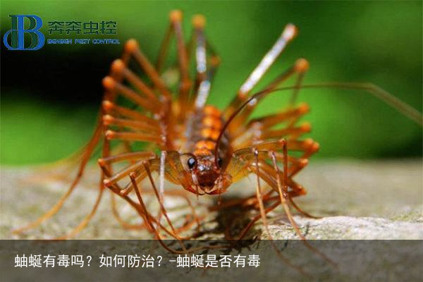 蚰蜒有毒吗？如何防治？-蚰蜒是否有毒