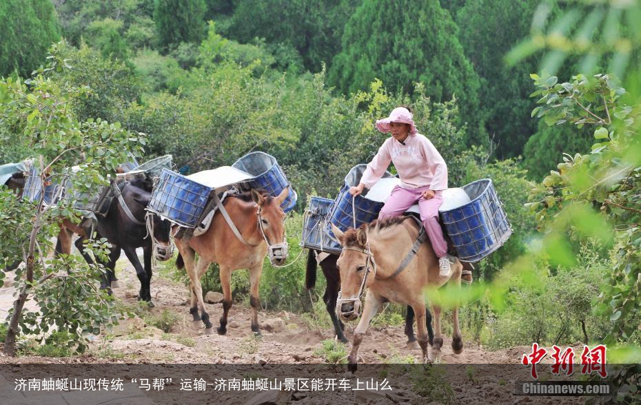 济南蚰蜒山现传统“马帮”运输-济南蚰蜒山景区能开车上山么