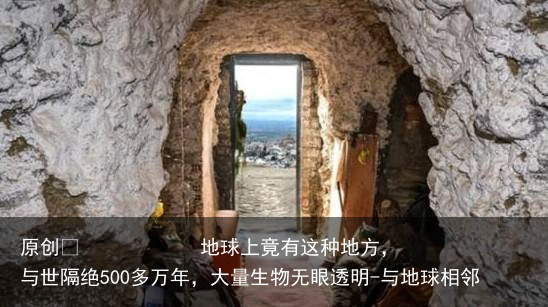 地球上竟有这种地方，与世隔绝500多万年，大量生物无眼透明