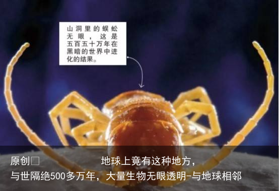 地球上竟有这种地方，与世隔绝500多万年，大量生物无眼透明