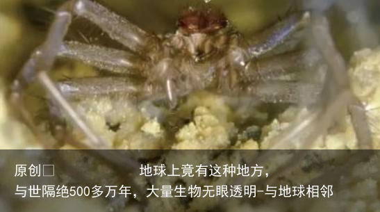 地球上竟有这种地方，与世隔绝500多万年，大量生物无眼透明