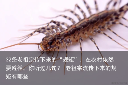 32条老祖宗传下来的“规矩”，在农村依然要遵循，你听过几句？-老祖宗流传下来的规矩有哪些