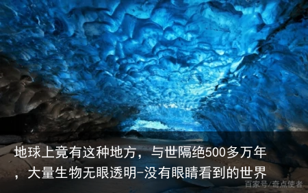 地球上竟有这种地方，与世隔绝500多万年，大量生物无眼透明-没有眼睛看到的世界